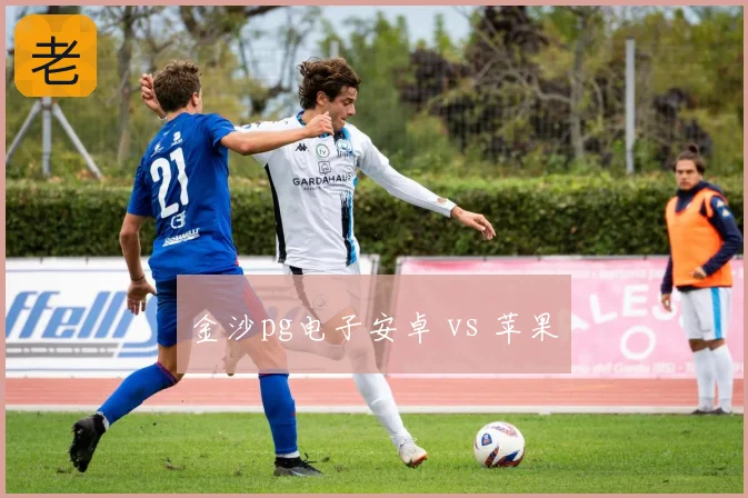 金沙pg电子安卓 vs 苹果