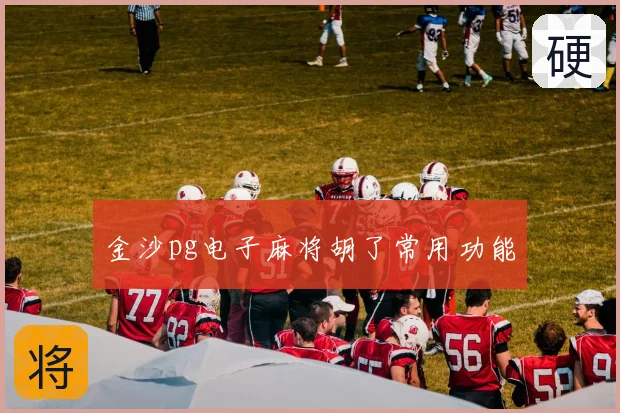 金沙pg电子麻将胡了常用功能