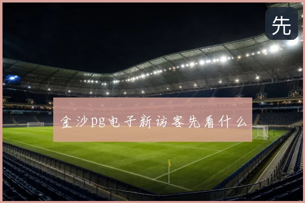 金沙pg电子新访客先看什么